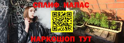 гашик Кулебаки