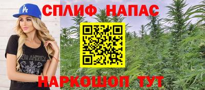 гашик Кулебаки