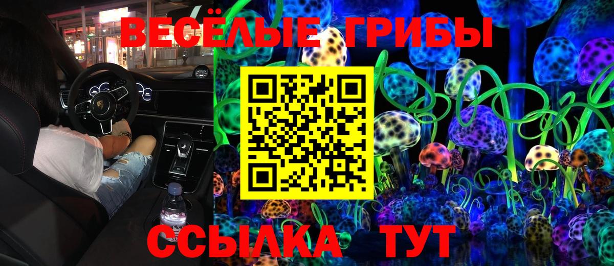 Галлюциногенные грибы Magic Shrooms Ессентуки